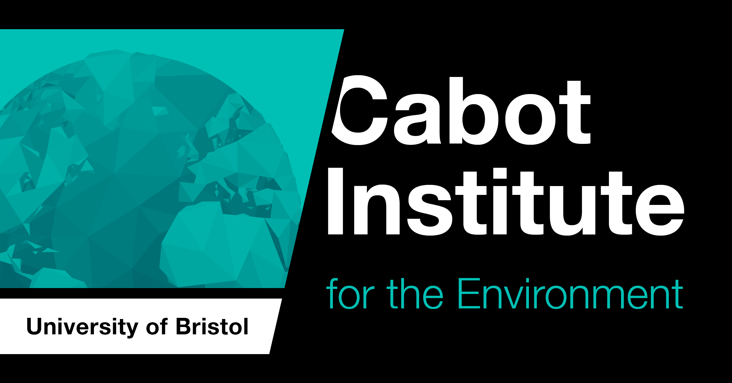 Cabot Institute Logo 